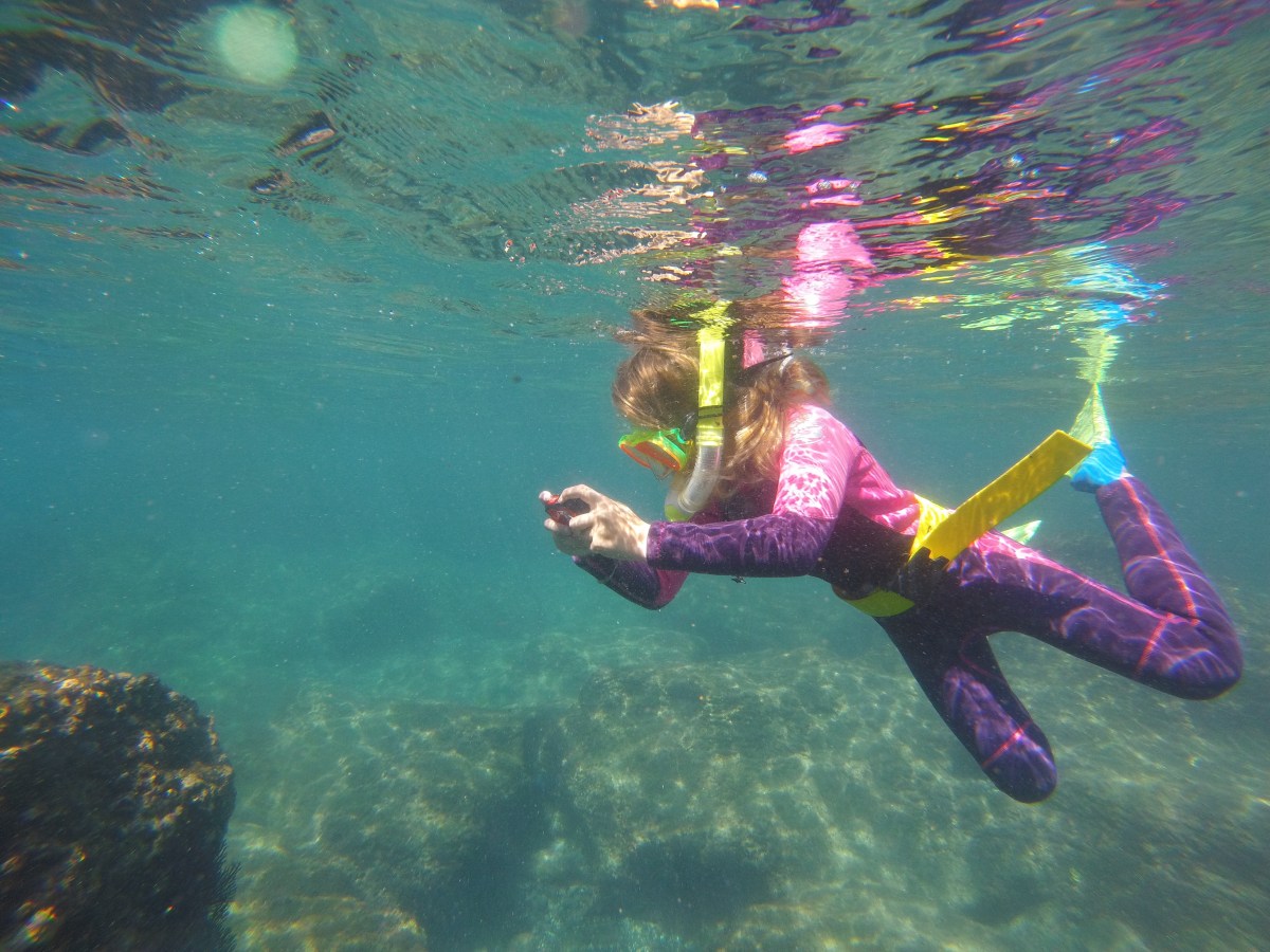 the waves of&nbsp;life